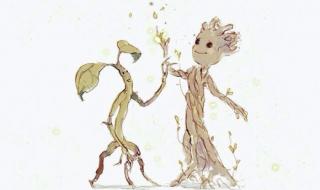 神奇动物去哪里