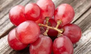 罗马葡萄多少钱一斤