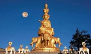 月光所照皆是故乡