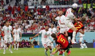 世界杯比利时排名