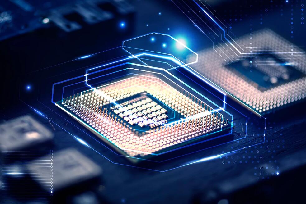 能杀大象的四种动物 能杀老虎的四种动物